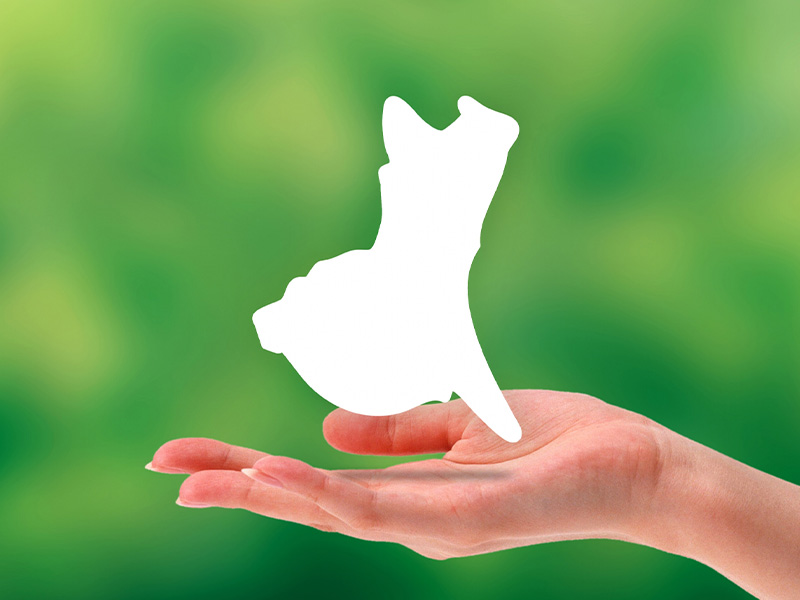 派遣エリアについて