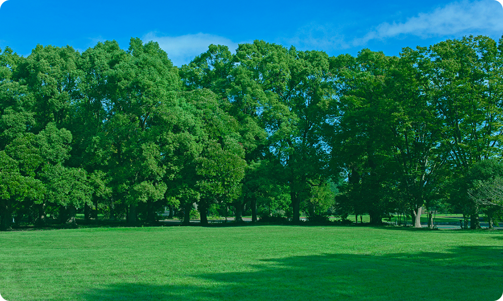丸昭産業株式会社